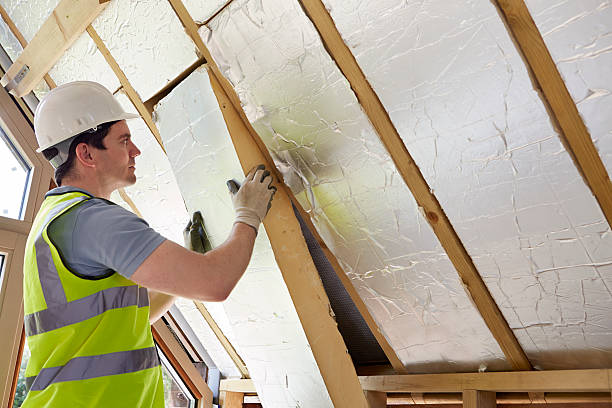 Best Eco-Friendly Insulation Solutions  in North Tunica, MS